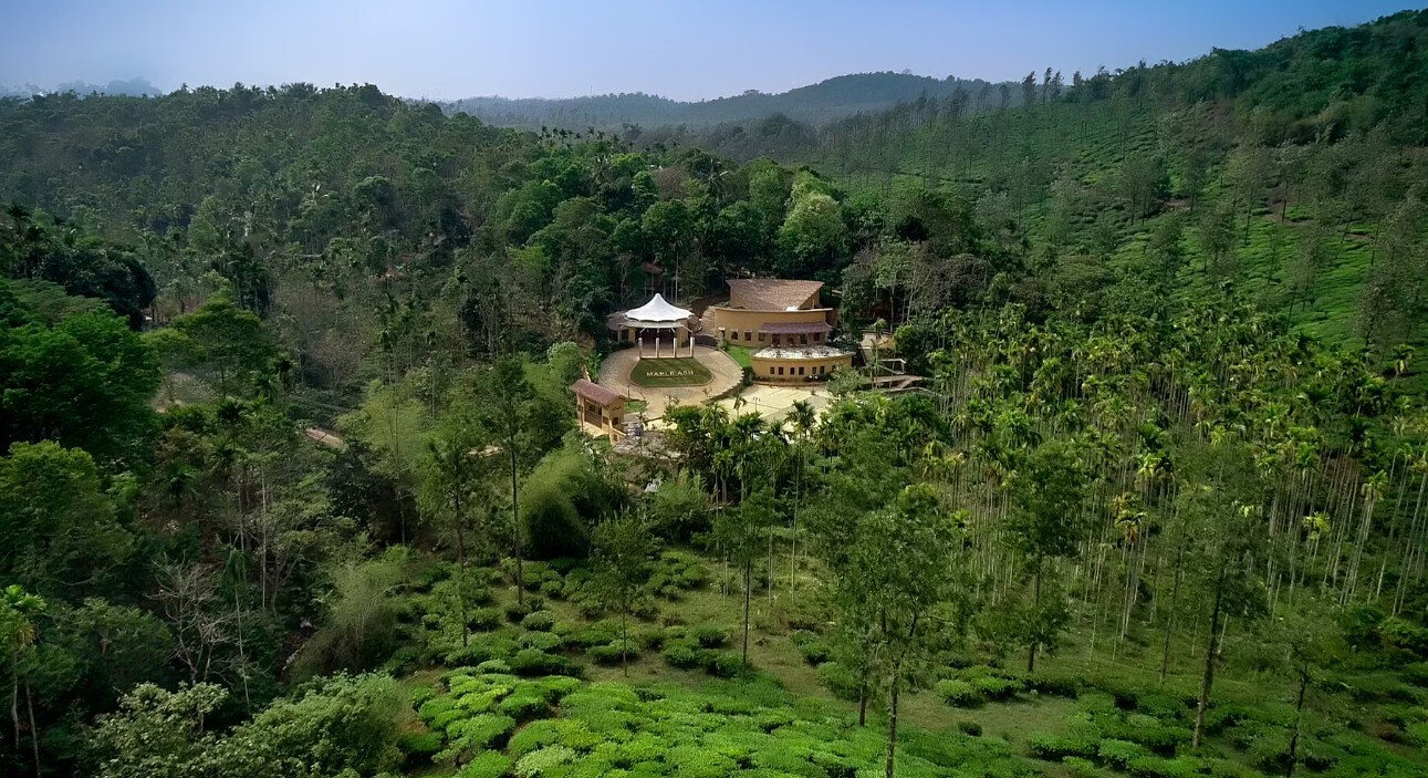 Maple Ash Resort