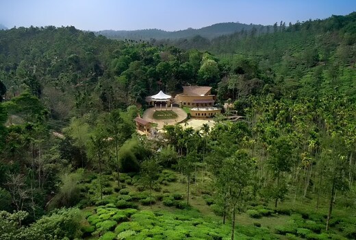 Maple Ash Resort