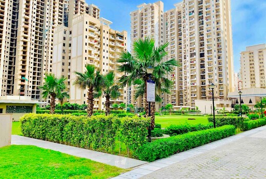 The Balboa by Richa's Home