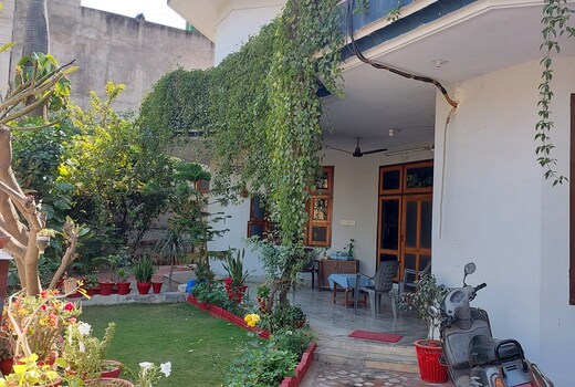 Travel curiosity homestay