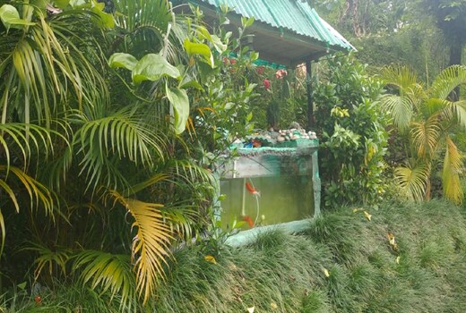 Sahyog Homestay & Farm