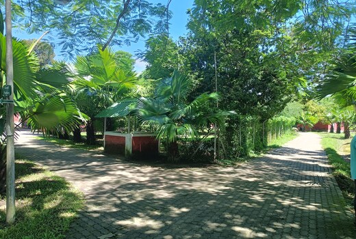 Chai Seeds Resort