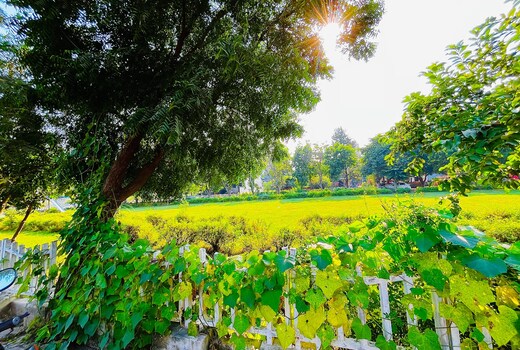 Garden Villa 200 meters from Expo Mart