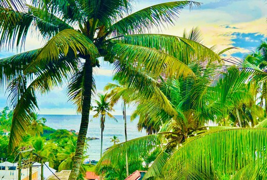 Ocean Villa, Kovalam by Halcyon Traveltech