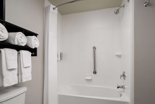Hampton Inn & Suites Orlando/Downtown South - Medical Center