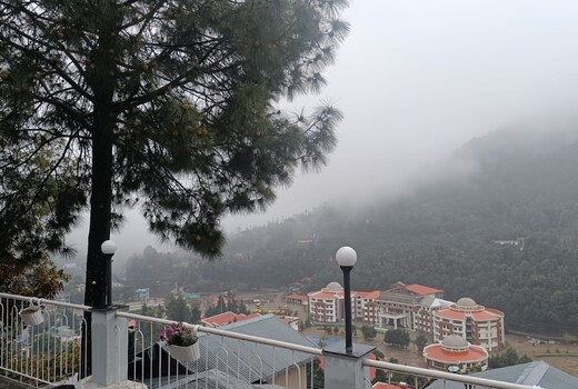 Elfin Homestays: Bhowali's Mountain & JungleEscape