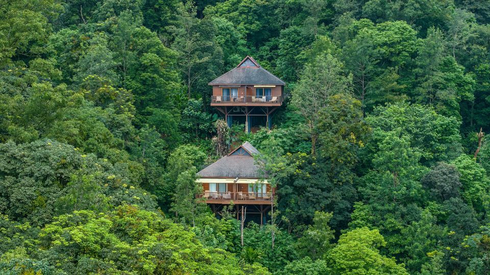 The Tamara Coorg