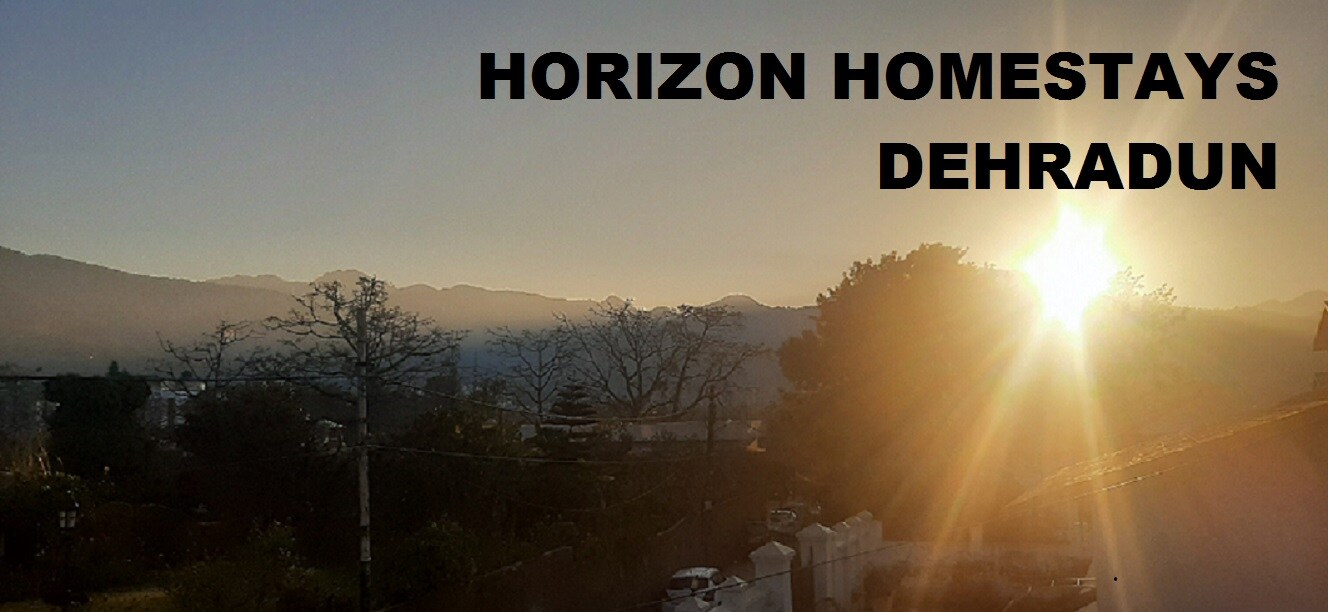 Horizon Homestay | Rooms & Kitchen
