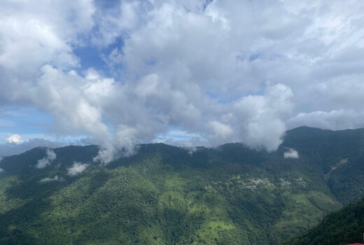 Hillnest Darjeeling