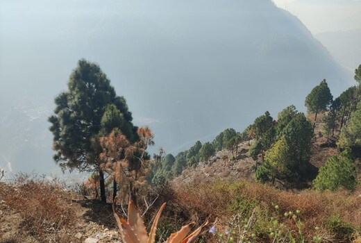 RCM Hill View Homestay