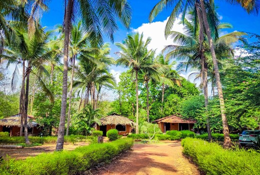 Natures Nest Goa