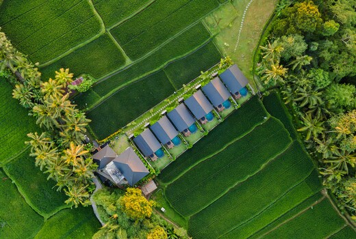 Ascarya Ubud