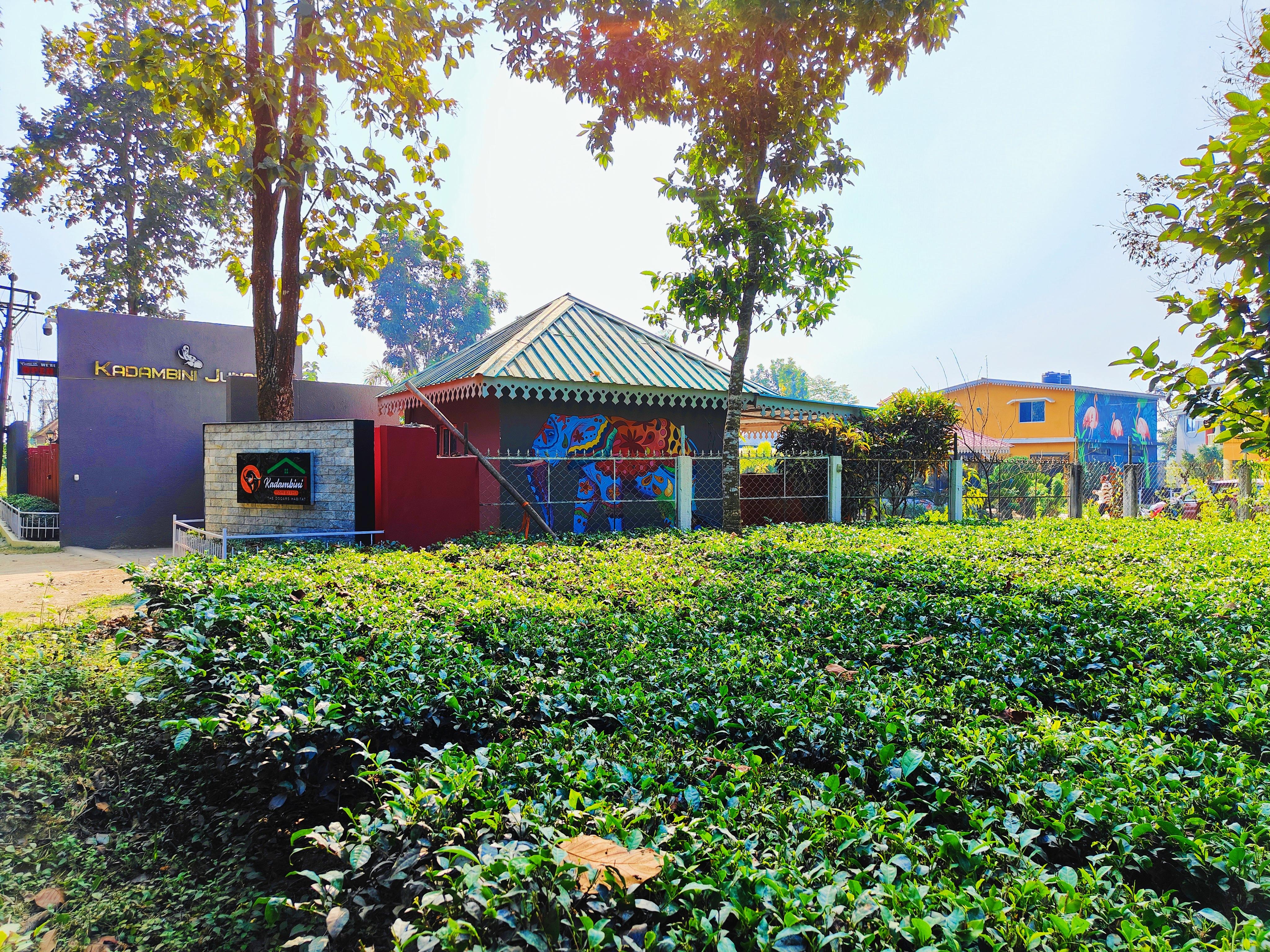 KADAMBINI RESORT