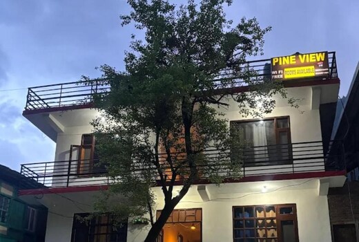 The Pine View