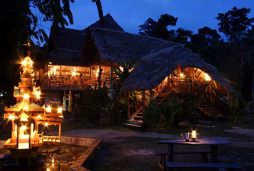 The Wild Orchid
