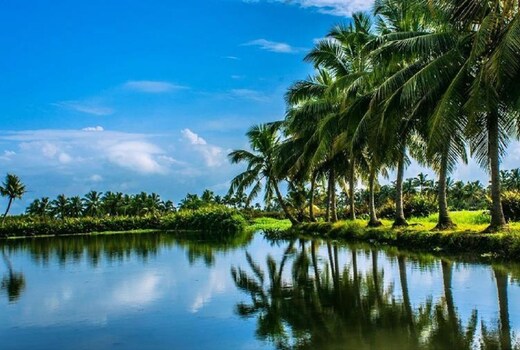 Golden Beach Homestay