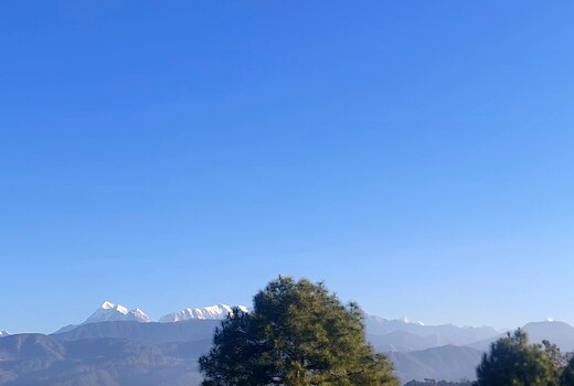 Aaranyam The Whispering Oaks