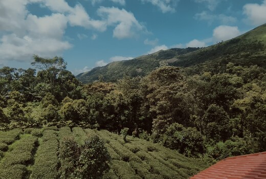 Ellickal Homestay