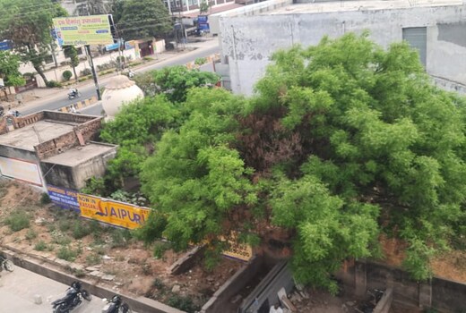 Chacha's Hotel & Restaurant