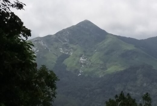 Vythiri Danish Resort