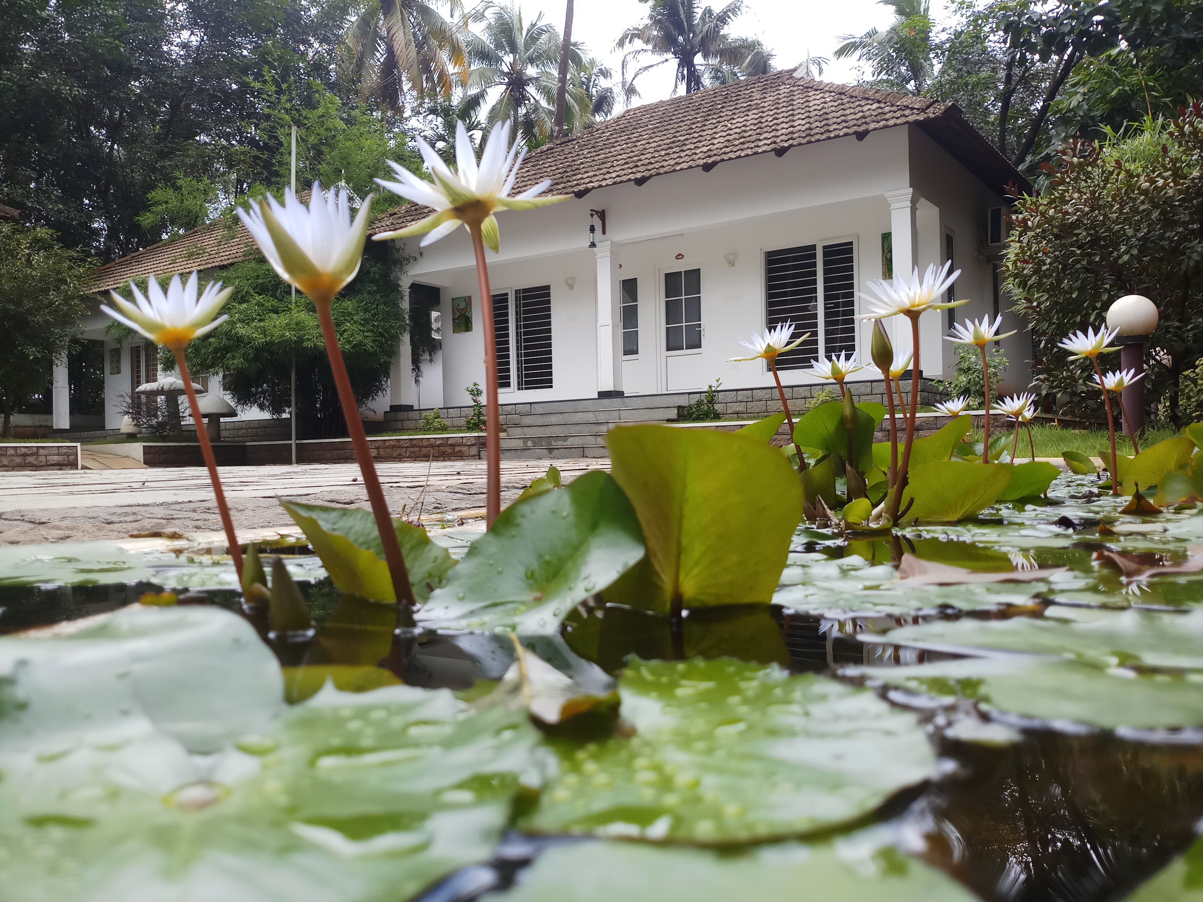 Mushroomhut Resort