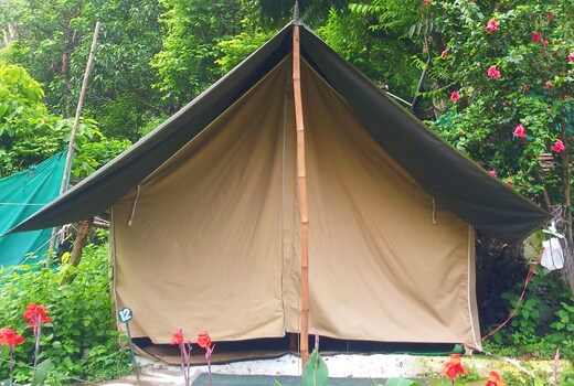 Camp Wildex Rishikesh