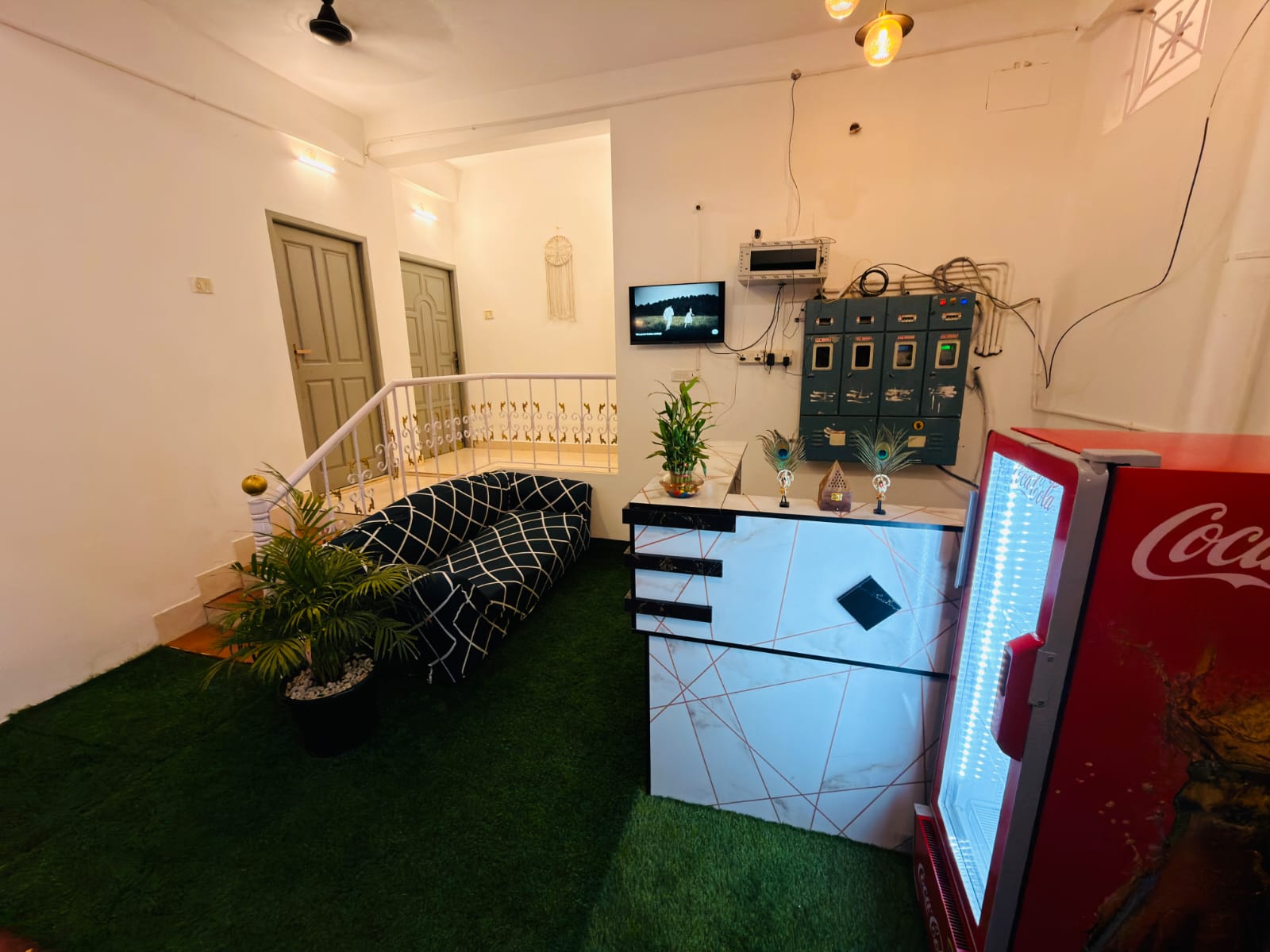 Cashew Tree Suite