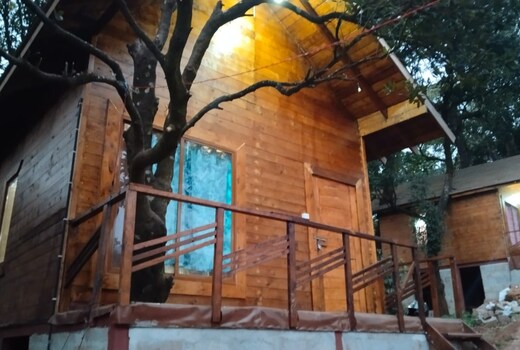 Jhari Mountain View Tree-House