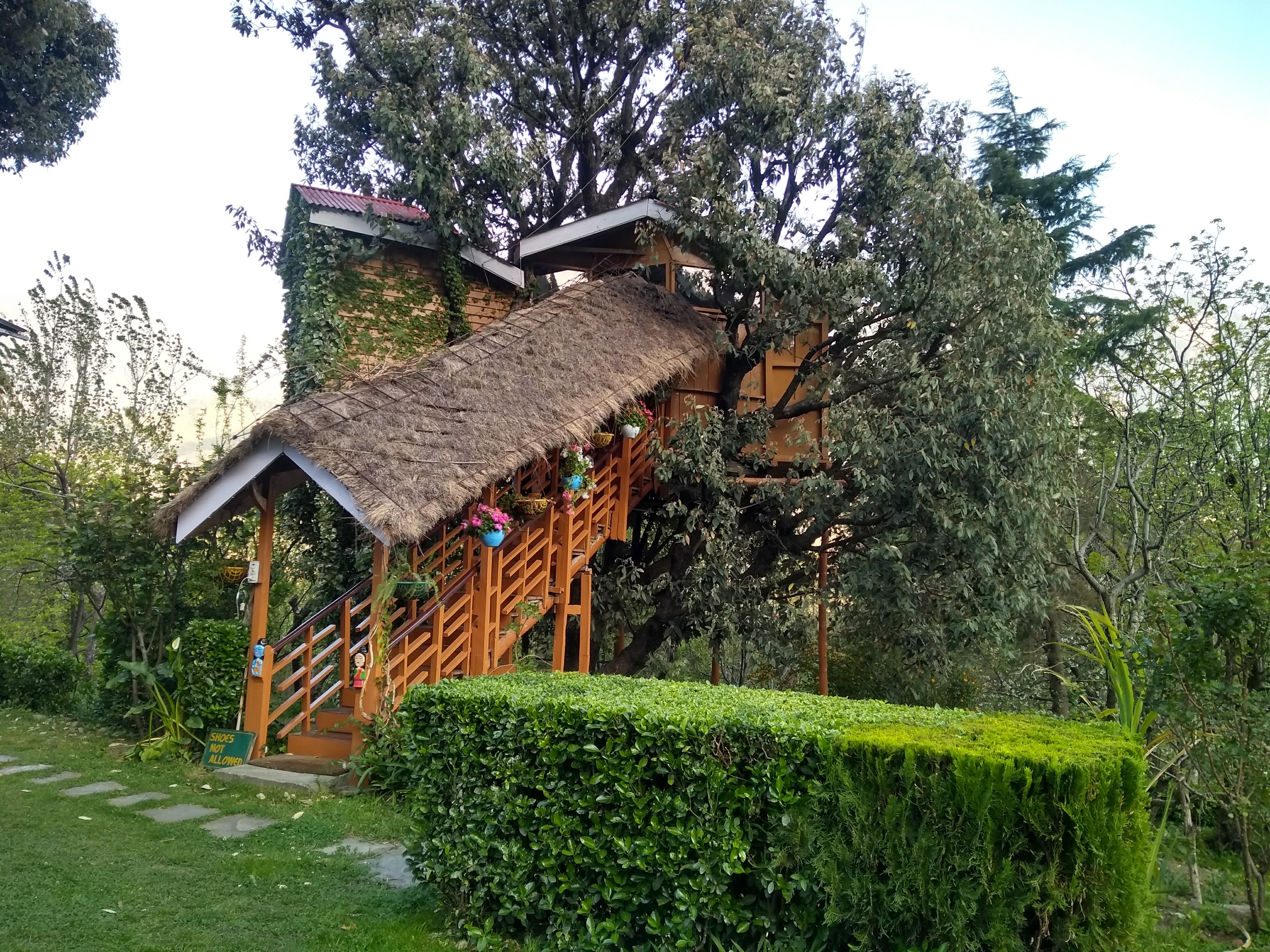 Tree House Cottages | Rooms & Caretaker