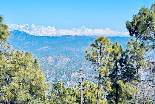 HP3 Homestay, Ranikhet