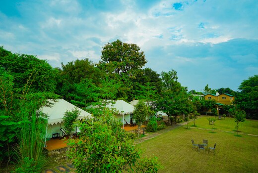 Ranthambhore Bagh Dwar Camp | Tents & Rooms