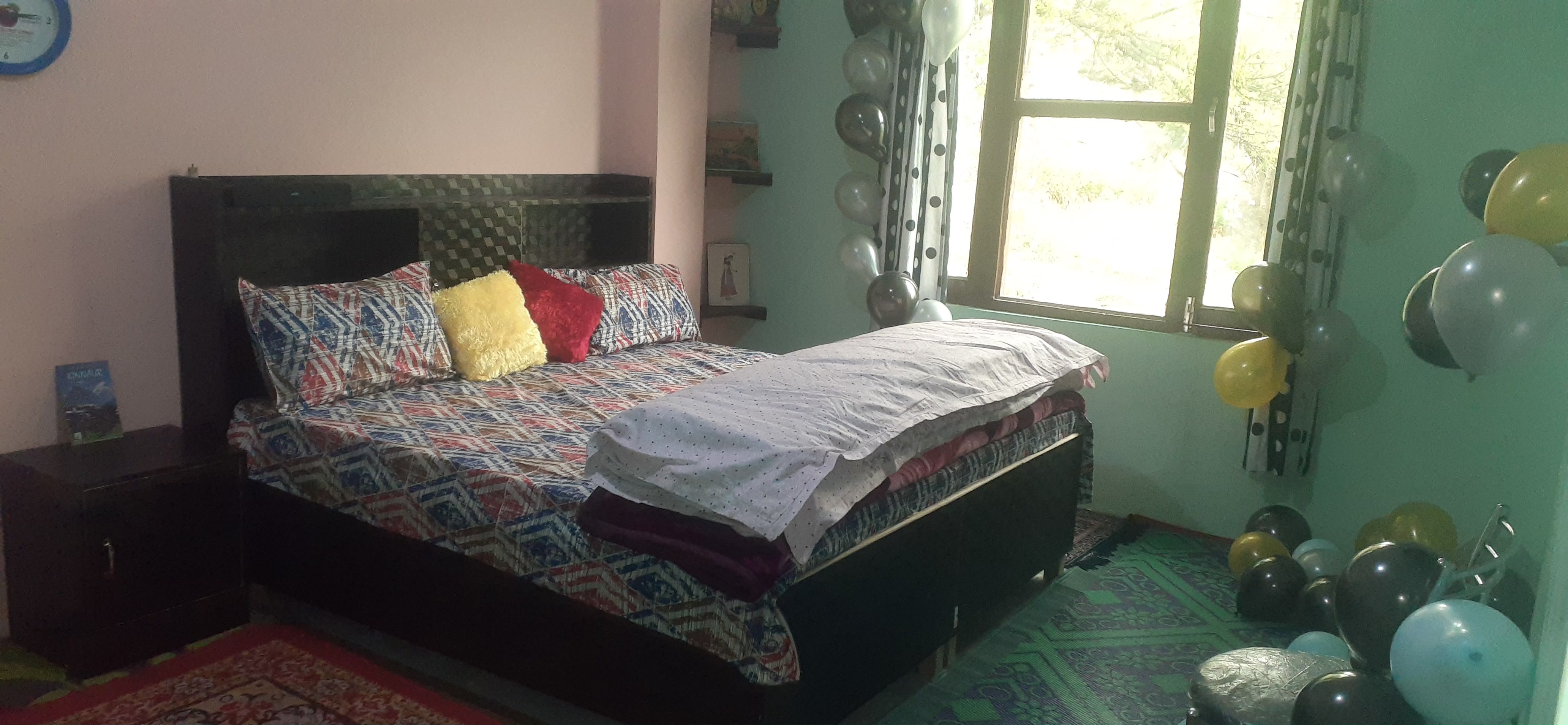 Dhruv homestay