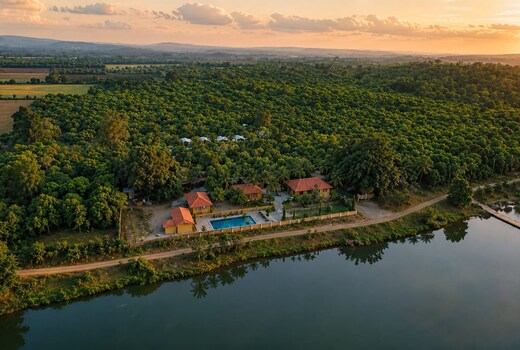 Gir Lion Safari Camp