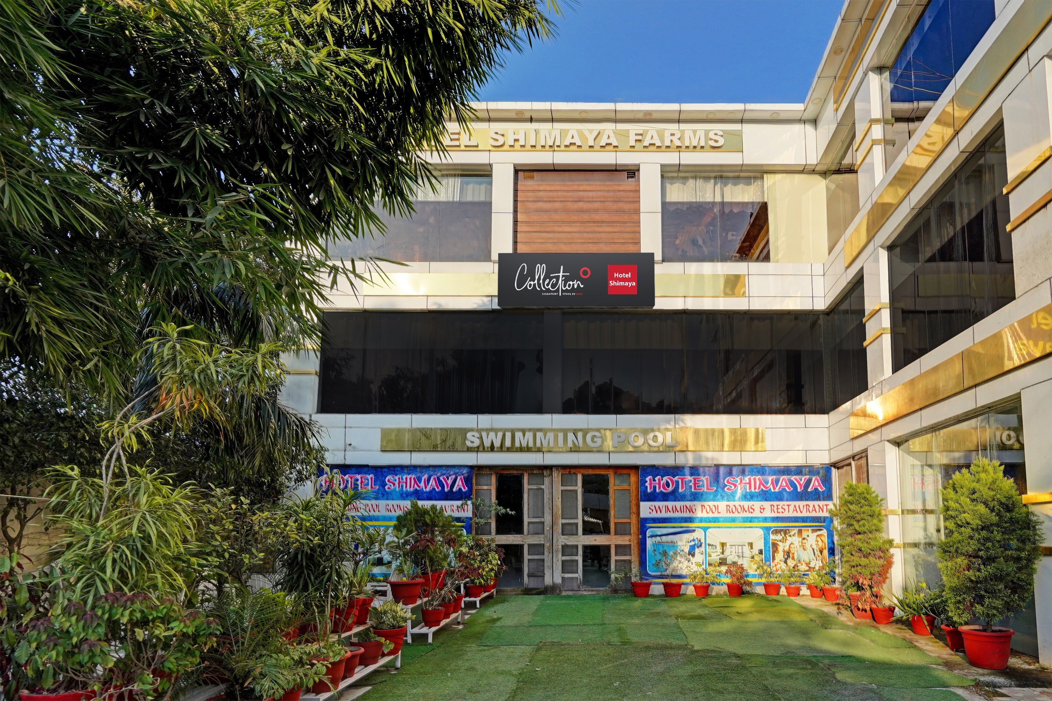 Capital O Shimaya