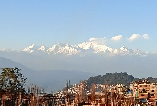 Darjeeling's Haven