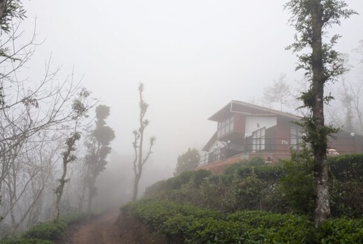 Mount heaven homespace