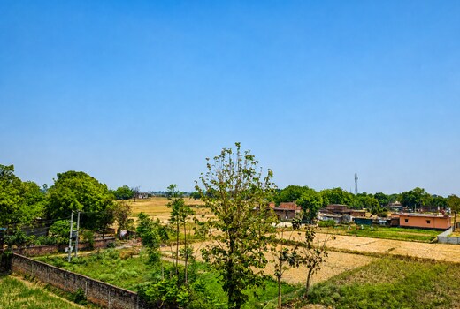 Orya Aarchi | Orya Homestay