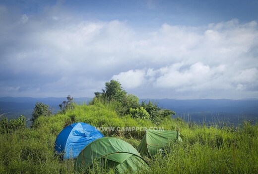 Campper Arrowhill Camp Wayanad