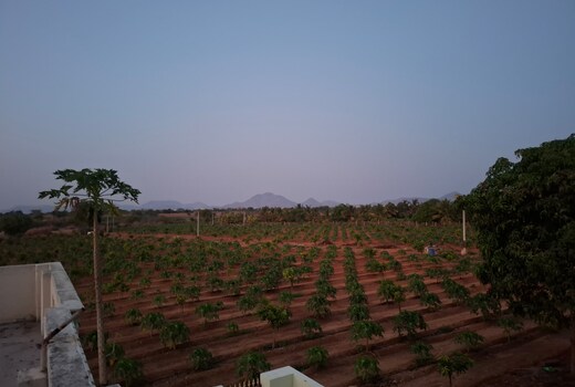 Home stay (villag)