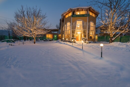 Hotel The Flying Bird