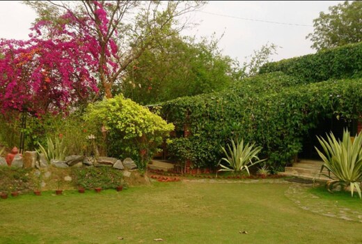 Baaz Jungle Resort