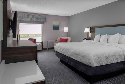 Hampton Inn by Hilton Conyers