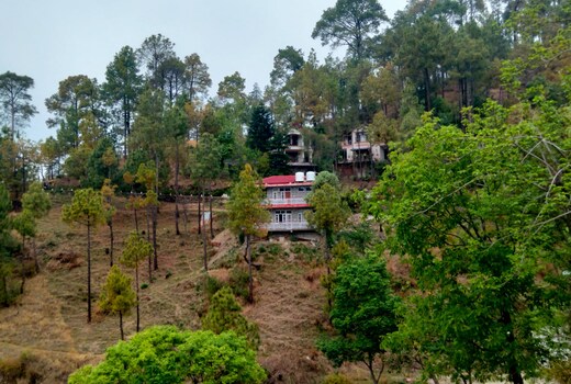 StoneFruit Homestay in Chail by Homeyhuts