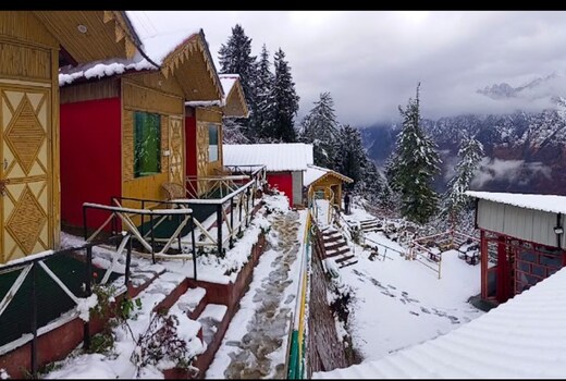 The Auli Bamboo House
