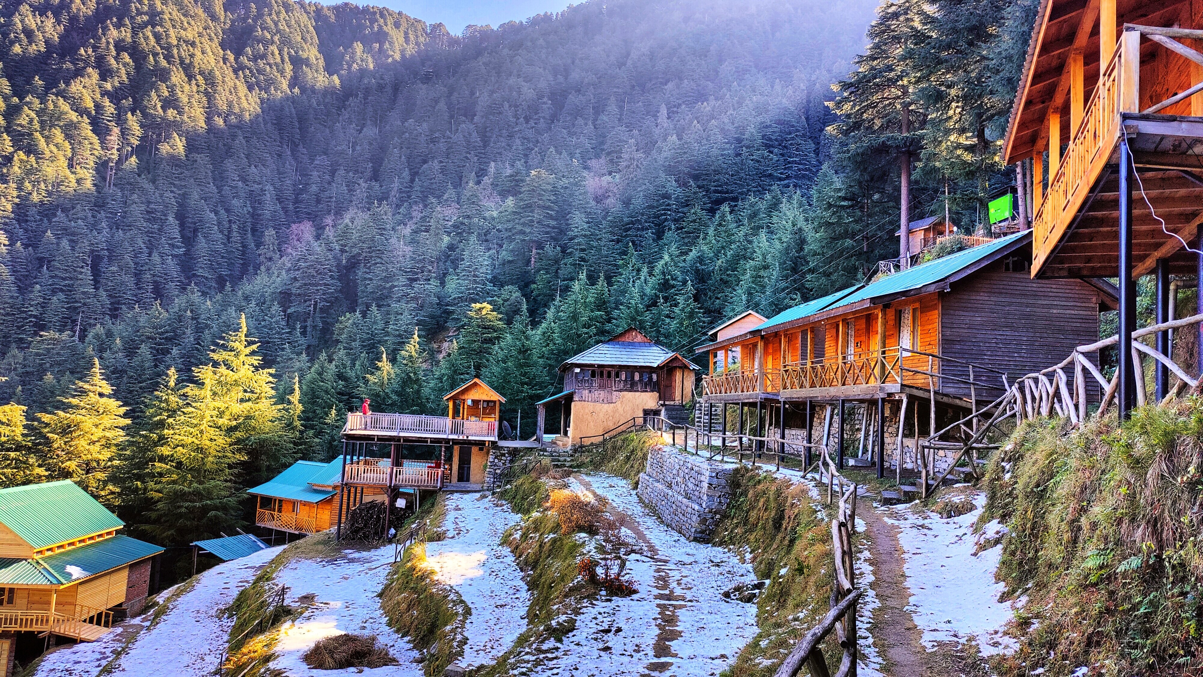 Mid Conifer | Resort & Cottages