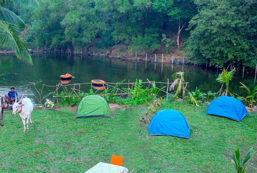 Mountain Base Resort