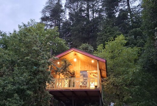 Pinehill treehouse