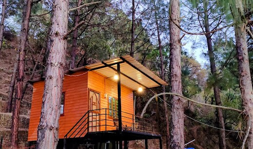Bugyal Stays | Jungle Huts