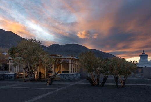 The Postcard in the Himalayan Willows , Stok, Leh