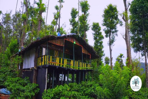 The Mountain Tree Home